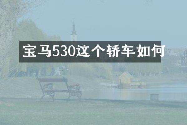 宝马530这个轿车如何