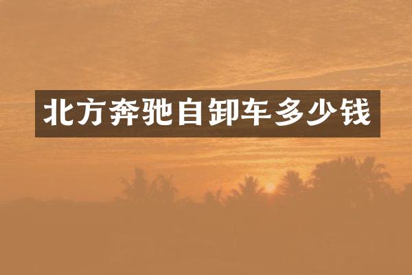 北方奔驰自卸车多少钱