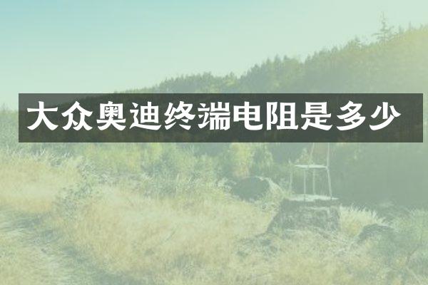 大众奥迪终端电阻是多少