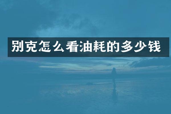 别克怎么看油耗的多少钱