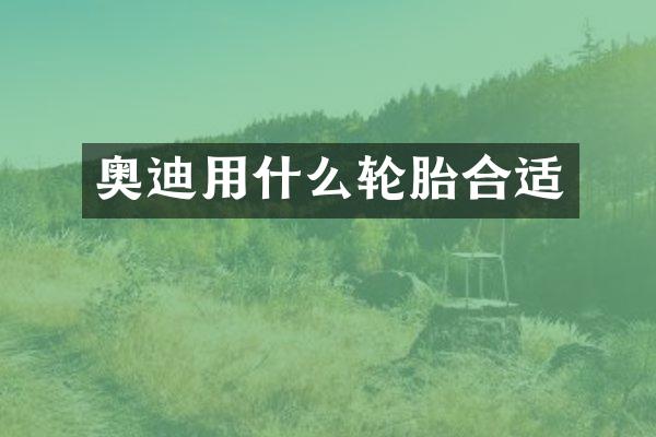 奥迪用什么轮胎合适