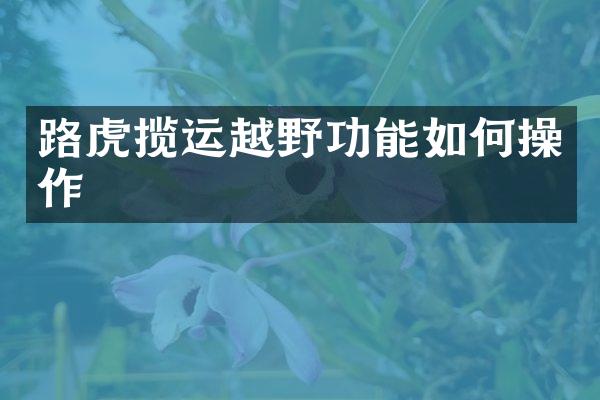 路虎揽运越野功能如作