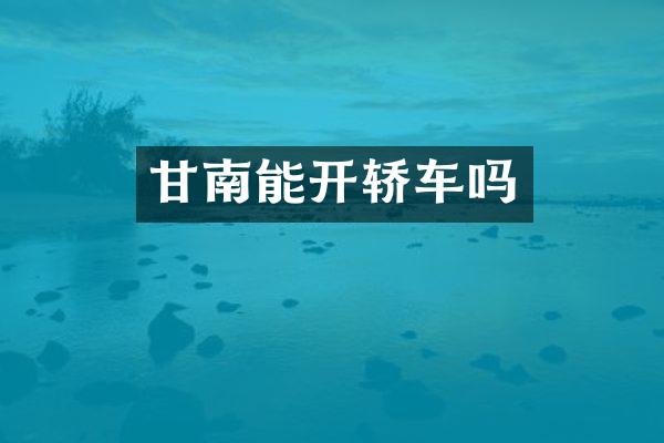 甘南能开轿车吗