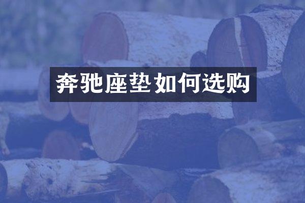 奔驰座垫如何选购