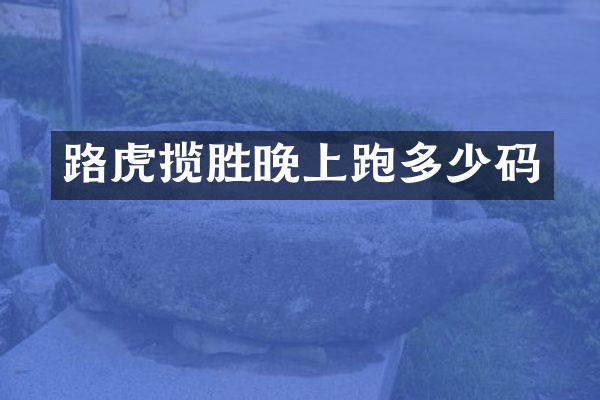 路虎揽胜晚上跑多少码