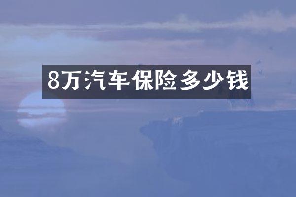 8万汽车保险多少钱