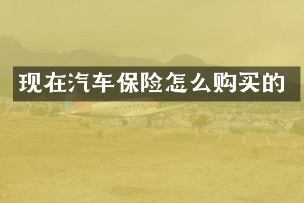 现在汽车保险怎么购买的