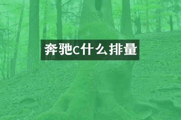奔驰c什么排量