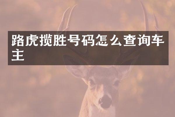 路虎揽胜号码怎么查询车主