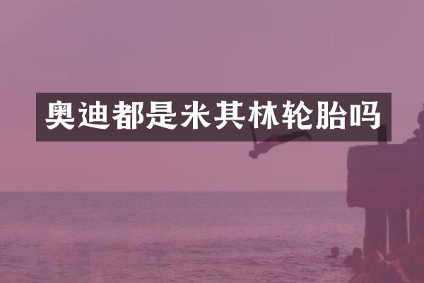 奥迪都是米其林轮胎吗