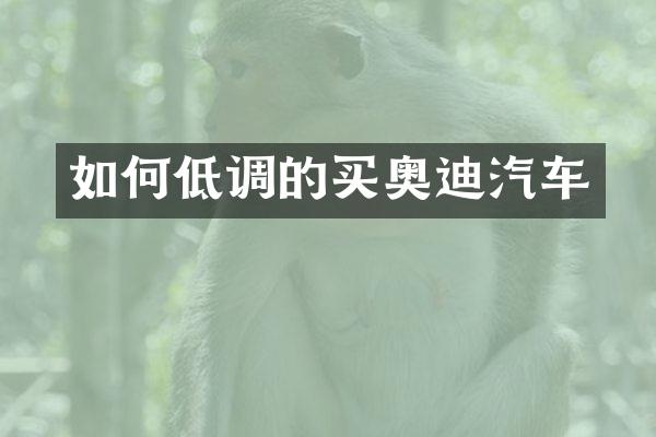 如何低调的买奥迪汽车