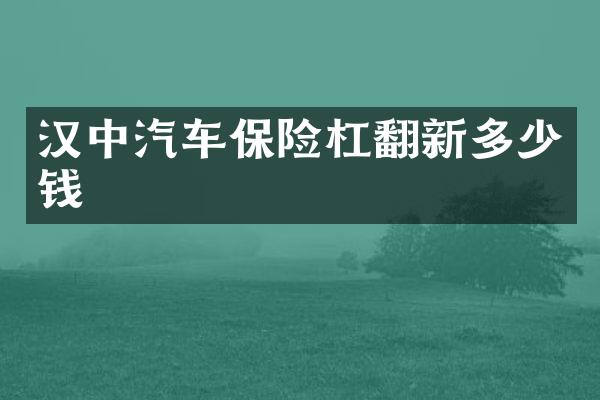 汉中汽车保险杠翻新多少钱