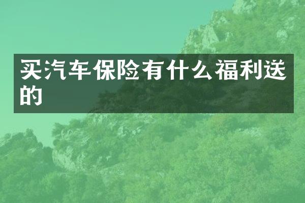 买汽车保险有什么福利送的