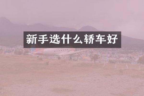 新手选什么轿车好
