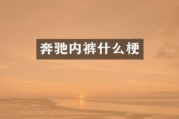 奔驰内裤什么梗
