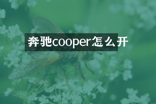 奔驰cooper怎么开
