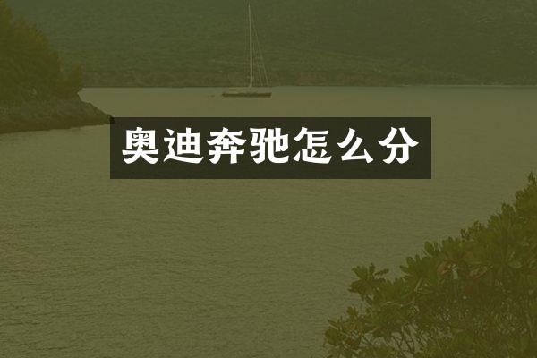奥迪奔驰怎么分