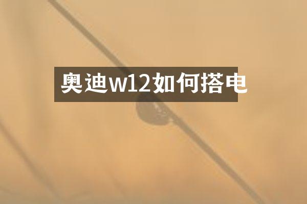 奥迪w12如何搭电