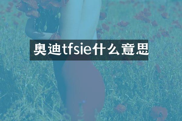 奥迪tfsie什么意思