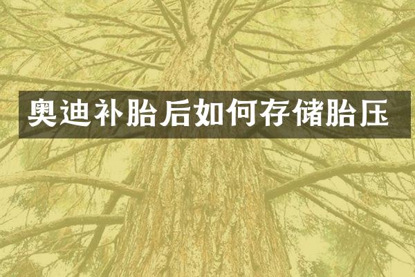 奥迪补胎后如何存储胎压