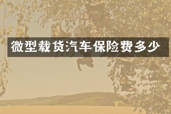 微型载货汽车保险费多少
