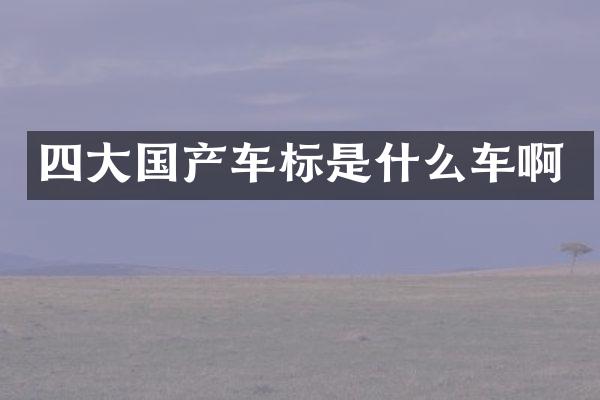 四大国产车标是什么车啊