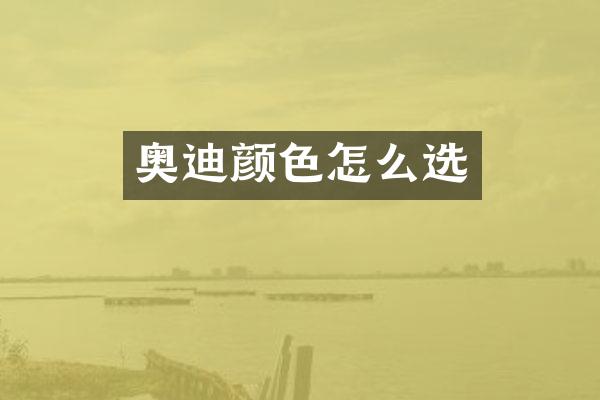 奥迪颜色怎么选