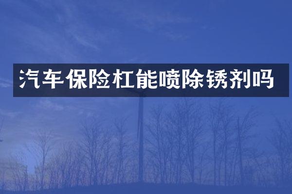 汽车保险杠能喷除锈剂吗
