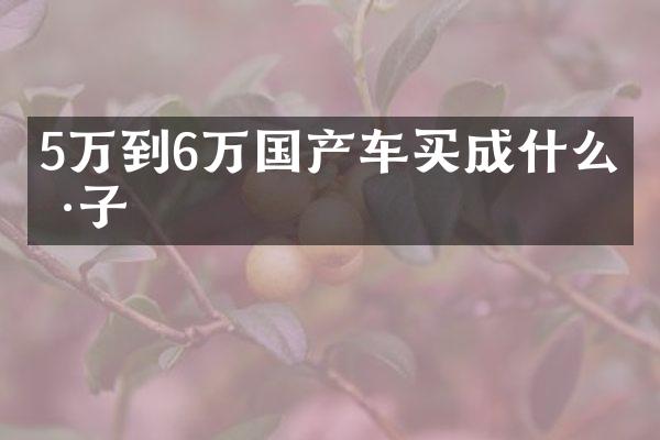 5万到6万国产车买成什么样子