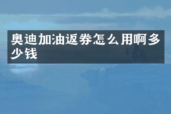 奥迪加油返券怎么用啊多少钱