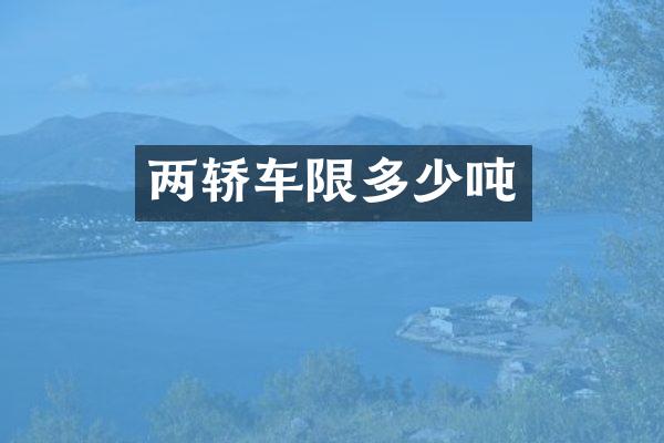 两轿车限多少吨