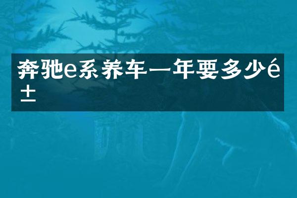奔驰e系养车一年要多少钱