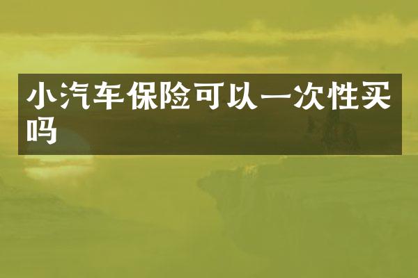 小汽车保险可以一次性买吗