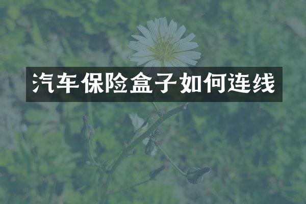 汽车保险盒子如何连线