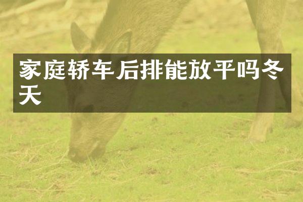 家庭轿车后排能放平吗冬天