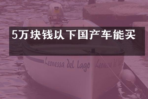 5万块钱以下国产车能买吗