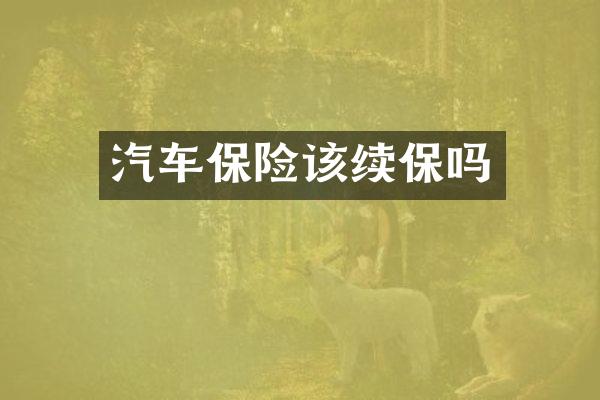 汽车保险该续保吗