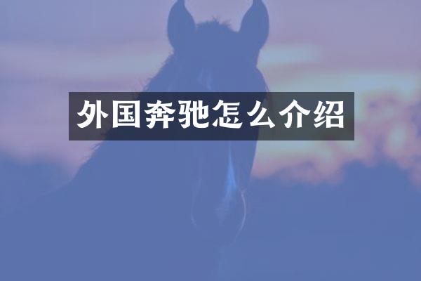 外国奔驰怎么介绍