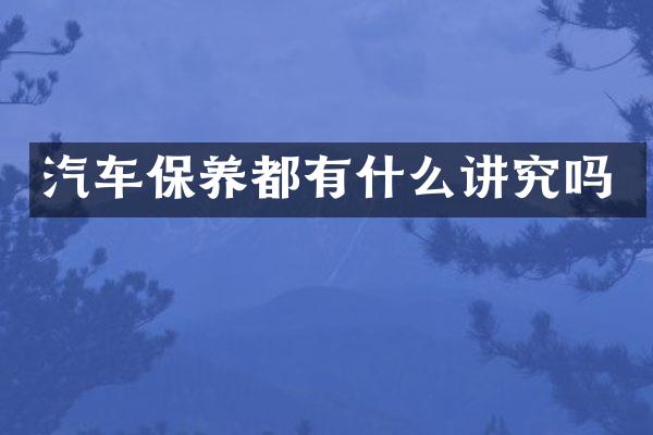 汽车保养都有什么讲究吗