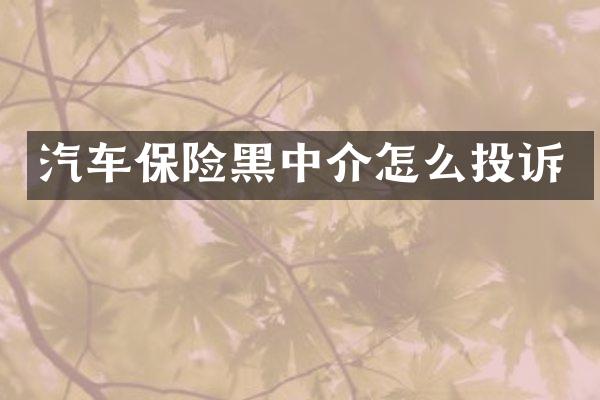 汽车保险黑中介怎么投诉