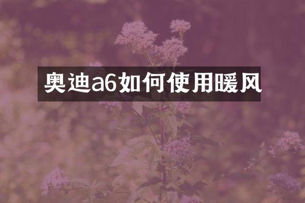 奥迪a6如何使用暖风