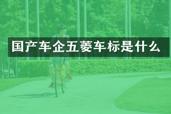 国产车企五菱车标是什么