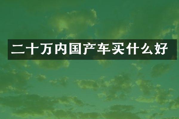 二十万内国产车好