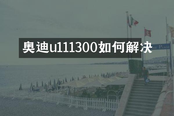 奥迪u111300如何解决