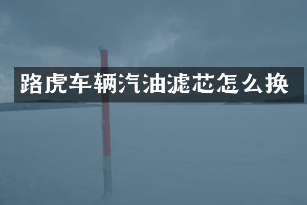 路虎车辆汽油滤芯怎么换