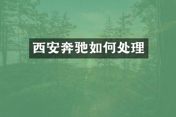 西安奔驰如何处理