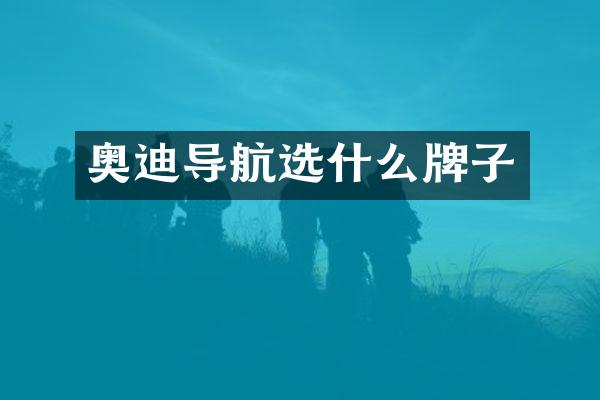 奥迪导航选什么牌子