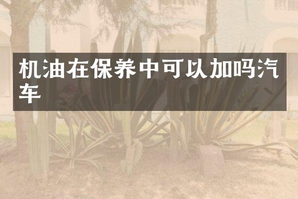 机油在保养中可以加吗汽车