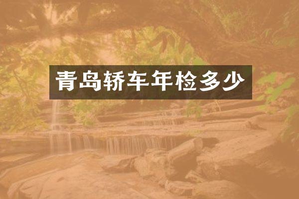 青岛轿车年检多少