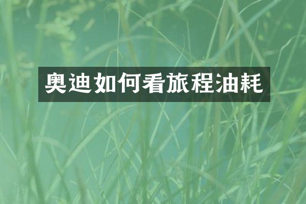 奥迪如何看旅程油耗